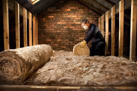 Types of Insulation We Offer in La Grulla, TX